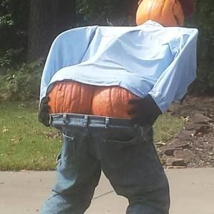 Meet your Posher, Cynthia